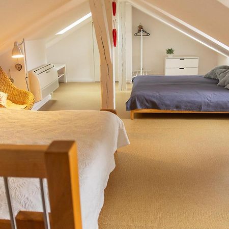 City Center Duplex Loft 콜마 외부 사진